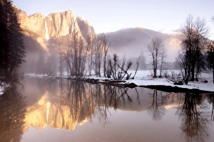 Snowing Prints: Early morning misty colors in the valley. Yosemite, California, US