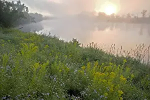 Golden Rod Prints: Early morning on a misty morning on the Connecticut River in Lunenburg, Vermont