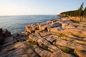 Ledge Prints: Early morning on the pink granite ledges of the rocky coast of Maine USA