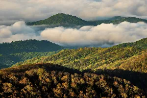 North Carolina Prints: Early morning spring view of mountains and mist