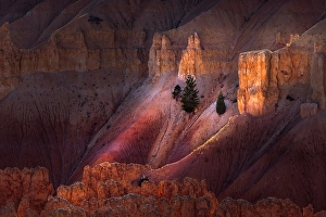 Images Dated 19th January 2024: Early morning view of hoodoo formations Bryce Canyon National Park, Utah
