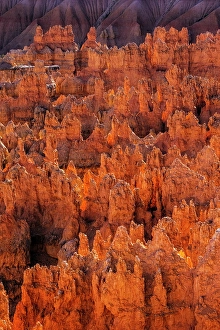 Images Dated 19th January 2024: Early morning view of hoodoo formations Bryce Canyon National Park, Utah