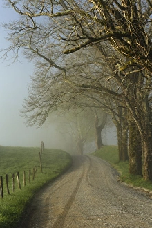 Great Smoky Mountain Prints: Early morning view of Sparks Lane, Cades Cove, Great Smoky Mountains National Park
