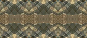 Earth Tone Prints: Earth tone abstract