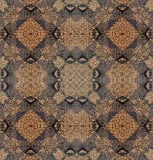 Earth Tone Prints: Earth tone abstract