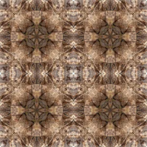 Earth Tone Prints: Earth tone abstract