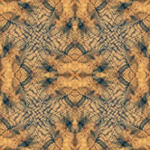 Earth Tone Prints: Earth tone and blue abstract