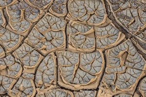 East Africa, Kenya, Nairobi, Langata, Hog Ranch, cracked, dry earth MR