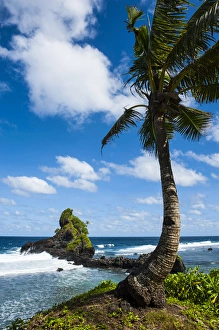 Palm Trees Prints: East Coastl of Tutuila island, American Samoa, South Pacific