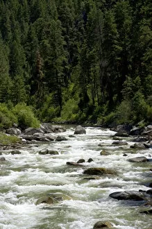 Images Dated 8th July 2006: The East Fork of the South Fork of the Salmon River near Yellow Pine, Idaho