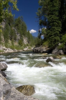 Images Dated 8th July 2006: The East Fork of the South Fork of the Salmon River near Yellow Pine, Idaho