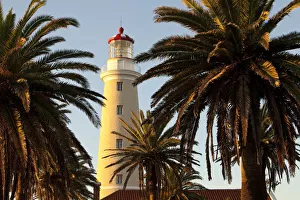 Palm Trees Prints: East Point Lighthouse, Punta Del Este, Uruguay, South America