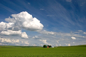 Images Dated 19th September 2006: Eastern washington pea farm with rolling hills and clouds