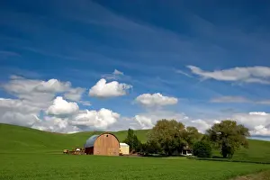 Eastern washington wheat farm with rolling hills and clouds