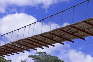 Images Dated 14th October 2006: Ecuador, Amazon Rainforest, Curaray River. Paddling under a suspension bridge by