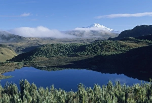 Andes Mountain Prints: Ecuador, Andes mountains, Cayambe-Coca Reserve