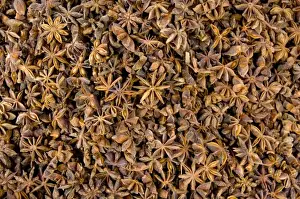 Images Dated 28th February 2009: Ecuador. Famous Otavalo Market which dates back to pre-Inca times. Dried anise