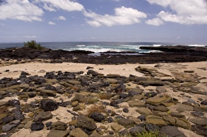 Ecuador, Galapagos, Santiago (aka James). James Bay, Puerto Egas. Typical lava landscape
