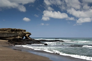 Ecuador, Galapagos, Santiago (aka James). Black lava rock beach of James Bay, Puerto Egas