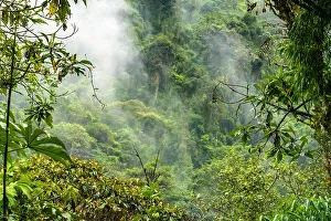 Guango Prints: Ecuador, Guango. Cloud in jungle landscape