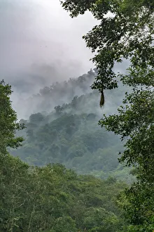 Images Dated 29th December 2022: Ecuador, Guango. Cloud in jungle landscape