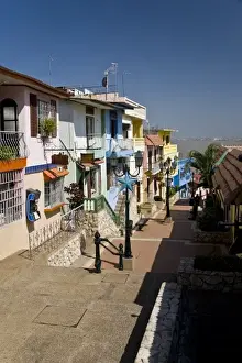 Ecuador, Guayaquil. Shops and residential areas line the stairs leading to the top