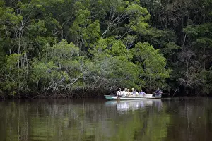 Boating Prints: Ecuador, Orellana, Napo River. Tourists viewing wildlife in a canoe, La Selva Amazon