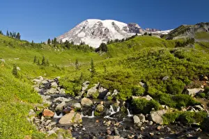 Snow Covered Prints: Edith Creek; Mount Rainier from Paradise; Mount Rainier National Park; Washington; USA