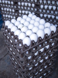 Eggs get stacked in crates in Bangalore, Karnataka, India
