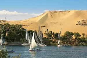 Images Dated 12th November 2007: Egypt, Aswan, Nile