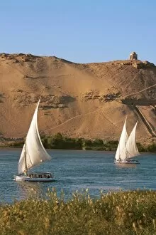 Images Dated 11th November 2007: Egypt, Aswan, Nile River, Felucca sailboats, Palm trees and the large sand dunes