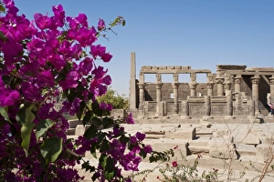 Temple Of Isis Prints: Egypt, Aswan. Philae Temple Aswan