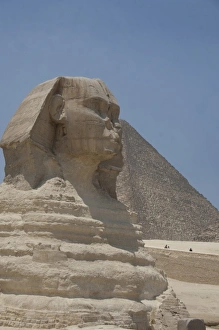 Images Dated 10th May 2009: Egypt, Cairo. The Sphinx in front of the Great Pyramids of Giza