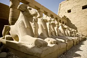 Luxor Prints: EGYPT, Luxor. A row of Lion-headed phoenixes each holding an image of Ramses III
