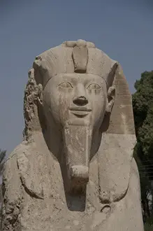 Sphinx Prints: Egypt, Memphis (aka Menufer). Alabaster sphinx of Amenophis II