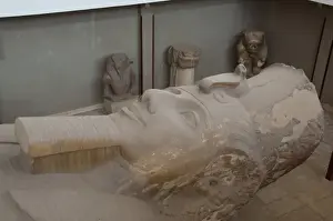 Images Dated 10th May 2009: Egypt, Memphis (aka Menufer). Giant statue called The Colossus of Ramses II