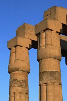 Images Dated 26th November 2003: Egypt, Temple of Luxor. Fasciculated columns with papyrus capitals of hypostyle