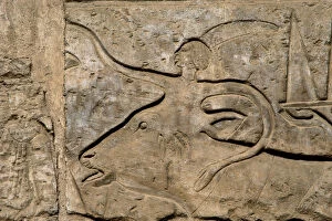 EGYPTIAN ART. EGYPT. Relief of the religious procession of the great bulls, to commemorate