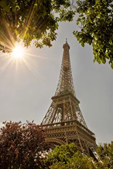 Eiffel Tower framed by trees and sunburst in Paris, France