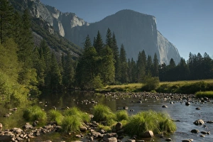 El Capitan Prints: 06