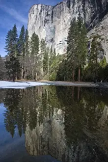 El Capitan Prints: El Capitan reflected in a small lake in Yosemite valley - Yosemite National Park
