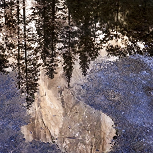 Snowing Prints: El Capitan rock face reflection in Icy water. Yosemite, California, US