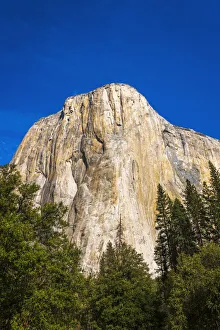 Images Dated 2nd March 2022: El Capitan, Yosemite Valley, Yosemite National Park, California USA