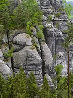 Images Dated 26th May 2015: Elbe Sandstone Mountains (Elbsandsteingebirge) in the Saxon Switzerland NP (Saechsische