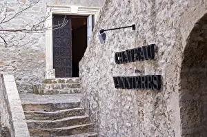 Mansion Prints: An elegant stone stair case at the winery leading up to the chateau building Chateau Vannieres