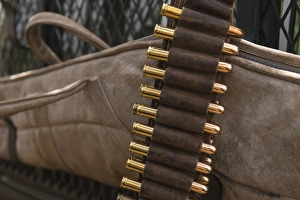 Leather Prints: Elephant capture security weapon, used during an elephant relocation event, Zimbabwe