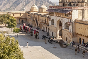 16th Century Prints: Elephants. Amber Fort. Jaipur. Rajasthan. India