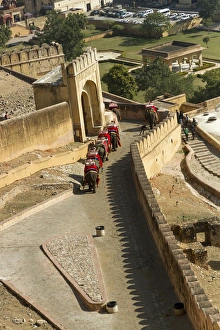 Images Dated 29th January 2015: Elephants. Amber Fort. Jaipur. Rajasthan. India