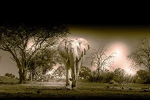 Images Dated 2022 August: Elephants at watering hole enjoying the plentiful water as drink and showers