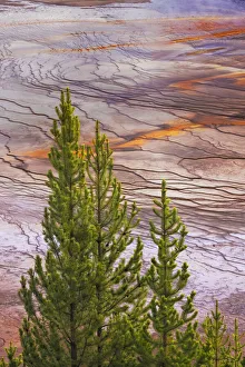 Geothermal Prints: Elevated view of Grand Prismatic spring and colorful bacterial mat
